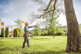 Best Tree Mulching  in Kenai, AK