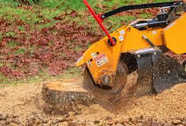 Best Tree Risk Assessment  in Kenai, AK