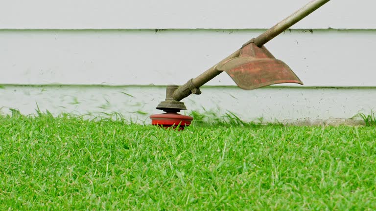Best Lawn Disease Treatment  in Kenai, AK