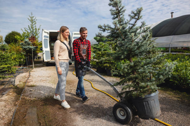 Best Lawn Maintenance Plans  in Kenai, AK